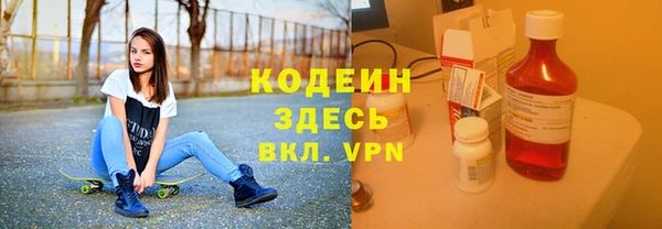 ГАЛЛЮЦИНОГЕННЫЕ ГРИБЫ Аркадак