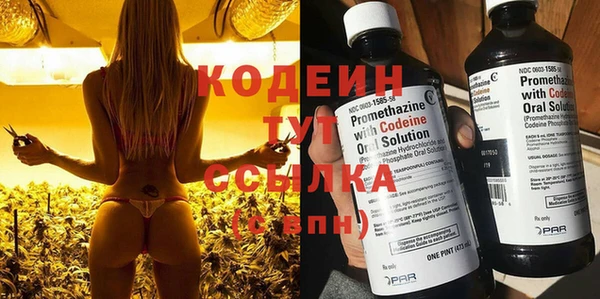 ГАЛЛЮЦИНОГЕННЫЕ ГРИБЫ Аркадак