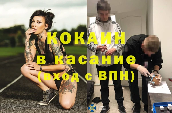 ГАЛЛЮЦИНОГЕННЫЕ ГРИБЫ Аркадак