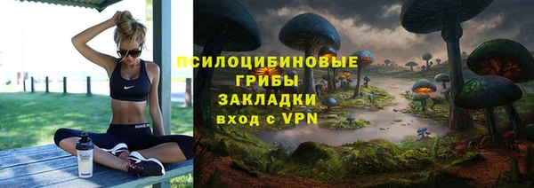ГАЛЛЮЦИНОГЕННЫЕ ГРИБЫ Аркадак